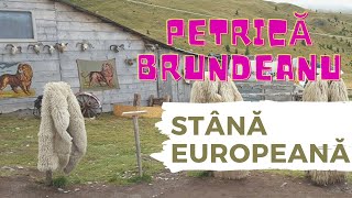 Petrică Brundeanu - Am stână europeană