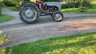 Köp Traktor Ferguson Grålle Tef på Klaravik