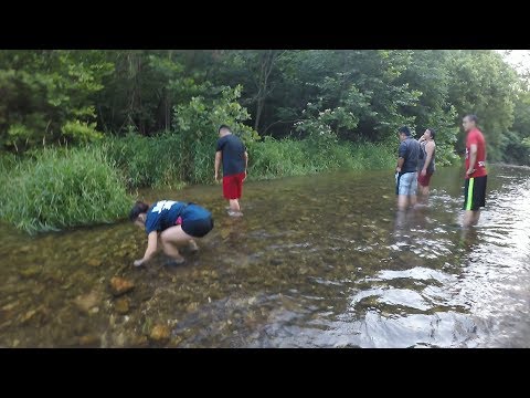 Catching Crawfish By Hand 4K HD Catching Crawfish By Hand 4K HD