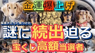 宝くじ高額当選者続出！？保護犬と行く金運爆上げの秘境【福の神大黒天】