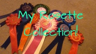 My Rosette Collection! | Dare To Ride