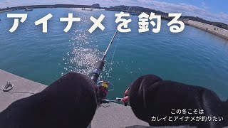 根掛かりからの、ゲット！！