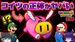 【ゆっくり実況】タップーの正体がヤバい！？どうしてこんな事に！！たくっちのマリオ＆ルイージRPG ブラザーシップ！実況！！ Part36【たくっち】