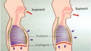 TUTORIAL INSPIRAR EXPIRAR