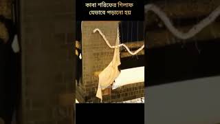 কাবা শরিফের গিলাফ যেভাবে পরিবর্তন করা হয়। Change of gilaf of Kaba Sarif. #shorts #islamicstatus