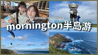 Pt. Leo网红Kaws雕塑公园酒庄🍃墨尔本莫宁顿半岛一日游🚢Mornington半岛伦敦桥🌉墨尔本近郊周末游✨偶遇滑翔伞🪂~~VLOG 113