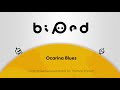 ocarina blues thomas parisch biped 只只大冒险 original game soundtrack