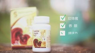 HuaBao Superior Lingzhi Plus+ 华保 超级灵芝胶囊-Advertisement-huashangTV