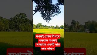 যখনই কোন বিপদে পড়বেন আল্লাহর একটি নাম ধরে ডাকুন#shorts  #voiceofislamic #islamicvideo #banglawaz