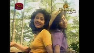 Jeewitheta Aruna Udawe-Champa Kalhari