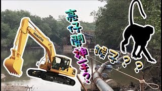 VLOG #12 讓你知道“沙”怎麼從河底挖上來？？Ahya Tomato 猴子這裡很多！！！快來快來！！哈哈哈 #Steadygang #TOMATO #AHYA #猴子