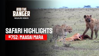 Safari Highlights #752: 9th February 2023 | Lalashe Maasai Mara | Latest #Wildlife Sightings