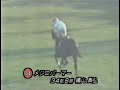 1993年有馬記念g1 本馬場入場