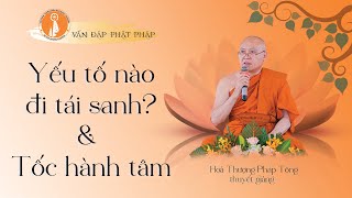 VĐPP  - Tổ hợp đi tái sanh \u0026  tốc hành tâm  - HT Pháp Tông thuyết giảng