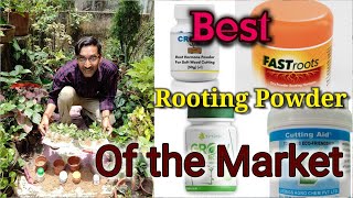 Which one is the Best Rooting Hormone Powder available in the Market. Rooting Powder you can buy