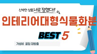 인테리어대형식물화분 쇼핑 가이드 추천 TOP5