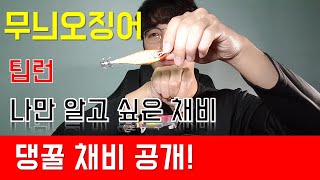 무늬오징어 팁런 핵꿀 채비 공개! 나만 알고 싶은 채비