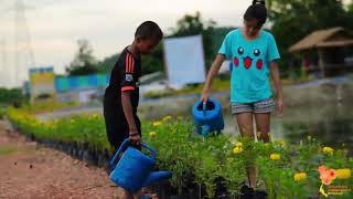 ดาวเรืองรวมใจภักดิ์ ต แก่งเสี้ยน จ กาญจนบุรี