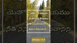 Proverbs సామెతలు 15:9#proverbs #bible #verse #fools #ways #righteous #love