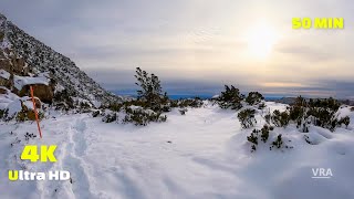 Virtual Hike 4K - Wild Snow Hike - Scenery Tasmania - Virtual Running Video for Treadmill