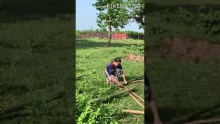 10 September 2020 Nepali Village Girl Making Chicken Coop (kukhurako khor)#Bamboo#