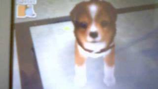 Nintendogs Tricks and Tips # 2