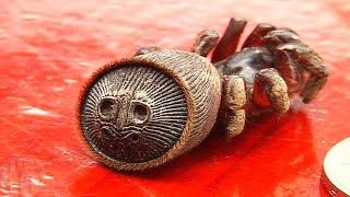 If You See This On The Ground, Do Not Pick It Up!