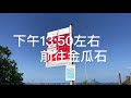 【vlog】搭公車這樣玩！不一樣的九金美景都在這！ 九份、金瓜石、報時山、陰陽海