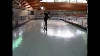 Art-Ice Skate Demo