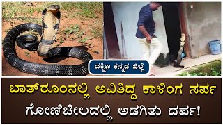 King Cobra Rescued In Dakshina Kannada | Snake Ashok  | Vijay Karnataka