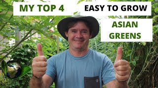 My Top 4 Easy Asian Greens to Grow at Home PERMACULTURE STYLE