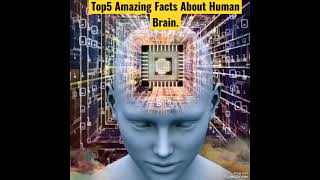 Top5 Amazing Facts About Human Brain.(Bengali) #fact