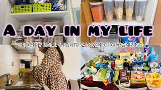 A day in my life / online grocery shopping / pantry and fridge organizing / සිංහල / ග්‍රොසරි ශොපින්