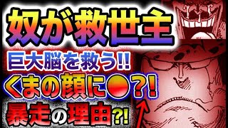 【ワンピース 最新話】ベガパンクの弱点判明？まさかの救世主とは？くまの異変がヤバい！(予想妄想)