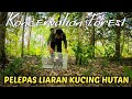 Pelepas liaran kucing hutan borneo | Macan akar/Macan rembah/Blacan/Asian leopard cat