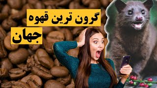 گرون ترین قهوه | راز هایی که درباره گرونترین قهوه دنیا نمی دانید !؟