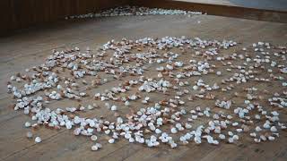 The Power of Fragility 2020 picture 13