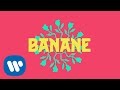 VARHIZ & SİMO - BANANE (prod. by Tawanaa) (Visualizer)