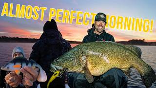 Almost Perfect Morning Murray Cod Fishing Copeton