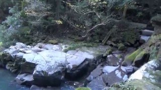 世界文化遺産「関吉の疎水溝」・「吉野疎水」取水口」～集成館の原動力～鹿児島市