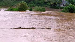 Flood Water Joida | village of kadagarni rainy season...| flood heavy  rain