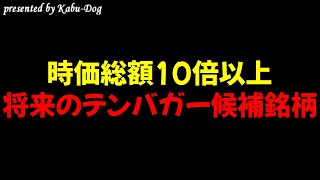 【時価総額10倍以上】将来のテンバガー候補銘柄