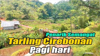 TARLING CIREBONAN ENAK DIDENGAR  SEMANGAT KERJA PAGI HARI