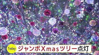 ひと足早くジャンボクリスマスツリー点灯　高さ１５ｍ、ＬＥＤ電球５万個！　サッポロファクトリー