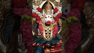 వారాహి అమ్మ దర్శనం ||Today Sri Bhagalamukhi devi darshan as Varahi Amma #trending #trending #varahi