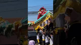 สิงโตต่อตัว #เจ้าพ่อแก้ว #ไดโน #งานงิ้ว #เจ้าพ่อแก้วบางมูลนาก #MyDino #dino #แห่มังกร #dragondance