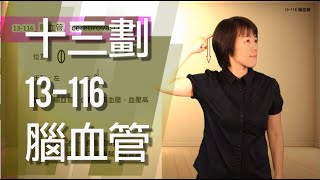 臺灣手語語料彙整【腦血管】13 116