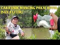 mancing ikan belanak pakai botol bekas fanta size 1 liter