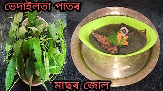 ভেদাইলতা   পাতৰ   মাছৰ   জোল  //  Bhedailata   Recipe !! #buluskitchenrecipe #bhedailatarecipe