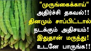 முருங்கைக்காய் மருத்துவ நன்மைகள்! | Drumstick Seeds Benefits in Tamil|Murungaikkai Health Tips Tamil